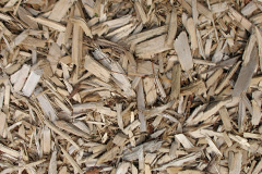 biomass boilers Balgonar