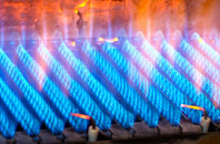 Balgonar gas fired boilers